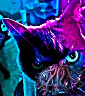 Photo by kitty4D with the username @kitty4D, who is a star user,  December 1, 2021 at 8:30 AM and the text says 'My young cat screams- "I desire F̸̲͖̹̪͊͂͊A̶͉̒́̾͝N̸͓̤̅ͅC̷̨͑̀̎̕Y̸̖̤͕̤̏́͘̚ ̶̤̅F̷̧̾E̴̻̟̬̘̚Ą̴̘̱͖̒̊͘͝S̴͔͔̈́͆̄̕T̷͈̜̙͂͐̈͗ ̷̰̲͚̩̈́͆͂̋ ̵͎̰͙͆͛!!!!"

"It better be M̵̪̞͕̦̳̞͊͊̈́̈́͘̚Ë̷̢̨͎̣͓́͋D̵̛̛͎̀͛͑͝Ľ̴͖͉Ę̷̩̔͜ͅY̴̢̘̪͎̫̏͌͋͗̊̕S̷͙͗͌͂͘̚ — from the..'