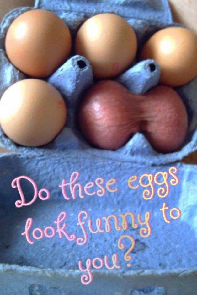Photo by IndyFun with the username @IndyFun,  April 17, 2022 at 4:40 PM. The post is about the topic Funny Kink and the text says 'Happy Easter to all of my perverted friends!'