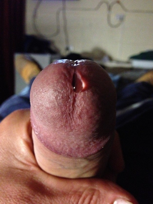 Photo by Tigers12 with the username @Tigers12, who is a verified user,  March 19, 2023 at 6:03 AM. The post is about the topic Beautiful Cock and the text says 'Need a tongue....'