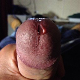 Watch the Photo by Tigers12 with the username @Tigers12, posted on November 17, 2023. The post is about the topic Cumming Cock. and the text says 'Anyone for a taste of precum...?!'