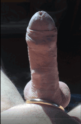 Photo by BillJMyers with the username @BillJMyers,  February 15, 2022 at 3:48 AM. The post is about the topic Penis Review and the text says 'My 60 year old dick. No problems getting hard!'