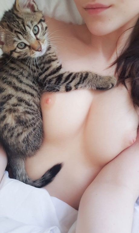 Photo by snowbunny69 with the username @snowbunny69,  December 28, 2021 at 12:17 AM and the text says 'Puss and Boobies #boobs #tits #cat'