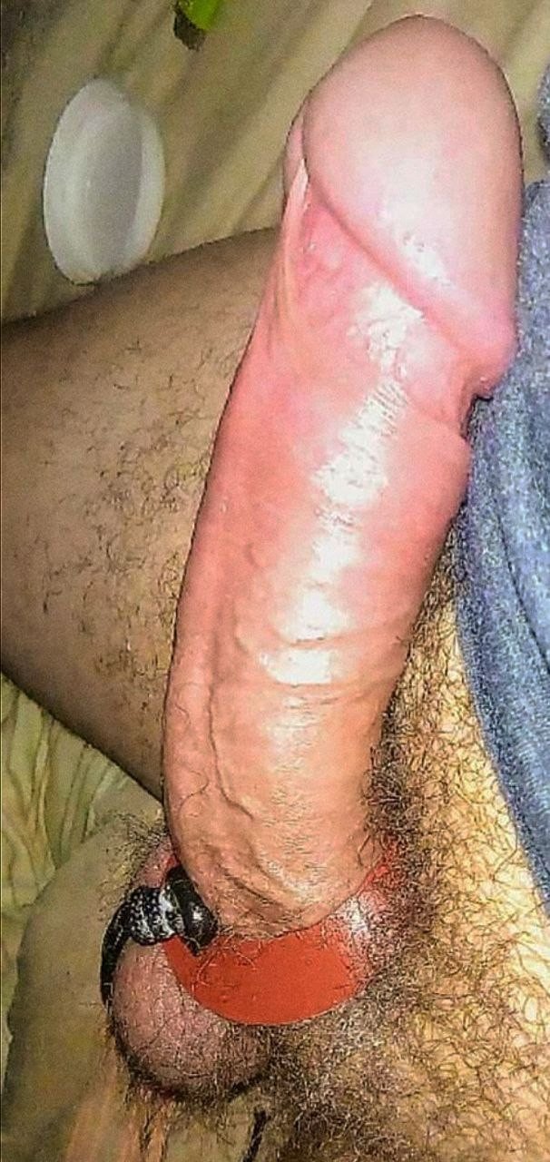 Photo by ThrobbingCowboy with the username @ThrobbingCowboy,  December 28, 2021 at 4:04 PM. The post is about the topic Rate my pussy or dick and the text says 'Any takers willing?'