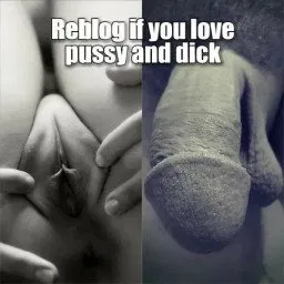 Shared Photo by Sexwolf59 with the username @Sexwolf59,  May 3, 2024 at 9:07 PM and the text says 'LOVE PUSSY craving cock'