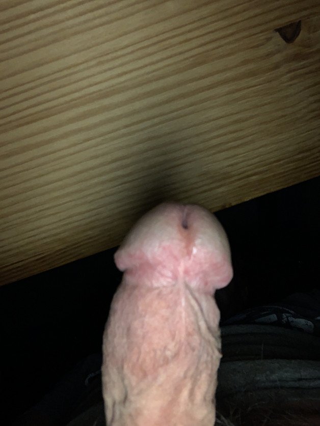 Photo by Eockhard with the username @Eockhard,  October 2, 2023 at 9:19 AM. The post is about the topic Cocks to admire