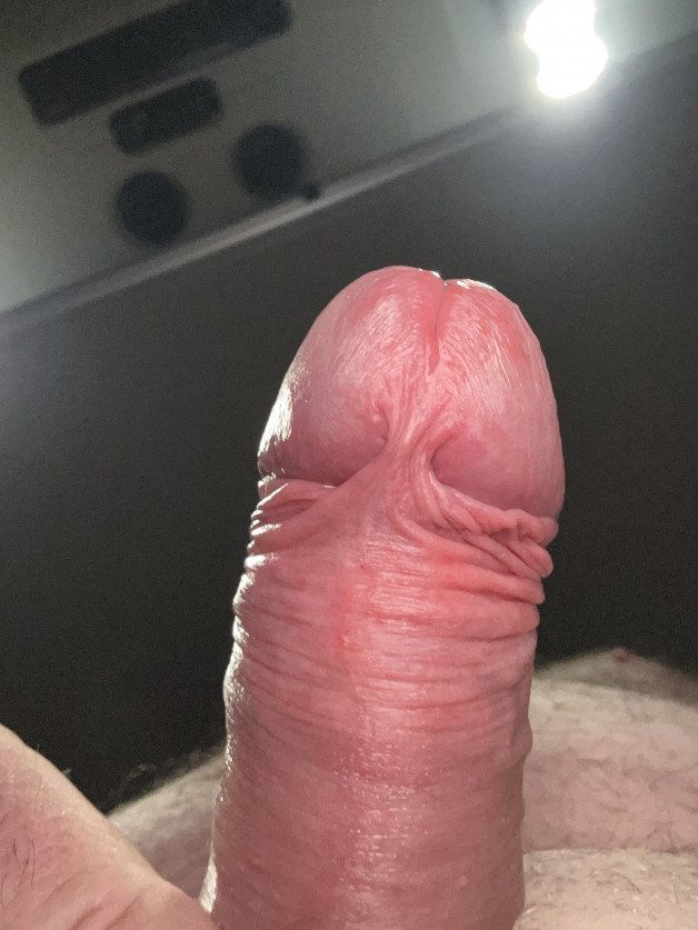 Photo by Bigwheelnuts with the username @Bigwheelnuts,  September 29, 2023 at 9:45 PM. The post is about the topic Show your DICK and the text says 'anyone wants to lick and suck my foreskin ??'