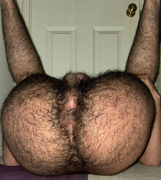 Photo by Daddyhp100 with the username @Daddyhp100,  January 8, 2022 at 8:47 PM. The post is about the topic Hot fit hairy furry str8 guy’s ass spreading
