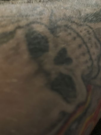 Tattoobear69