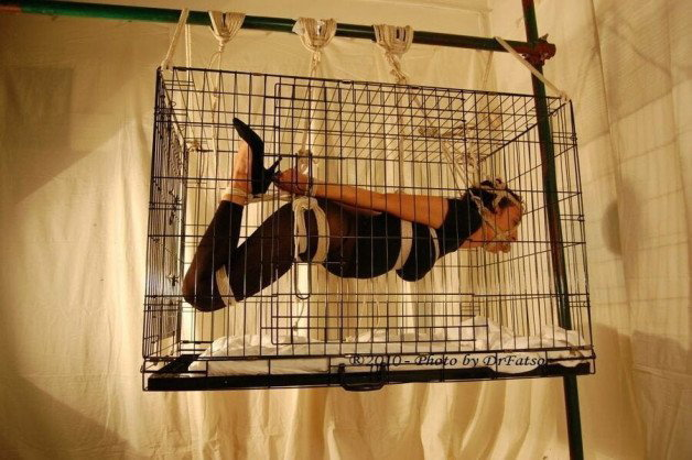 Watch the Photo by Hz_Caligula with the username @HzCaligula, posted on April 25, 2022. The post is about the topic Cages. and the text says '#Hogtied in a dog #cage... #Ballgagged #suspended'