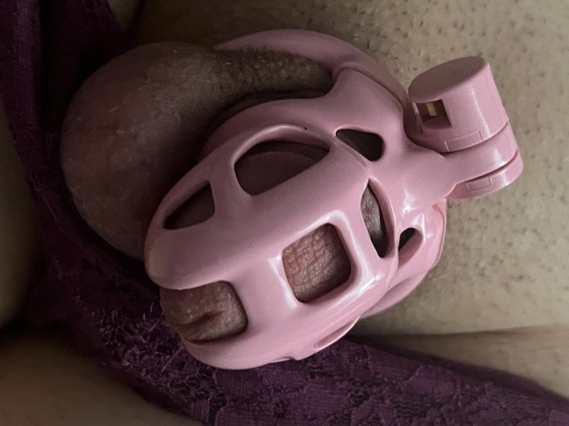 Album by Sarahs.Sissification with the username @Sarahs.sissification, who is a verified user,  November 22, 2022 at 6:16 PM. The post is about the topic Sissy Chastity and the text says 'My new cage its cute and pink'