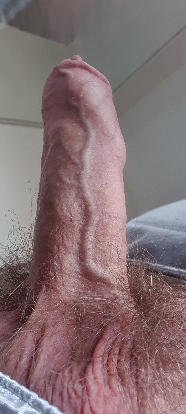 Photo by BucketBoi with the username @BucketBoi, who is a verified user,  September 13, 2022 at 5:47 AM. The post is about the topic Uncut cocks and the text says 'Hey, been a ck out that vein!'