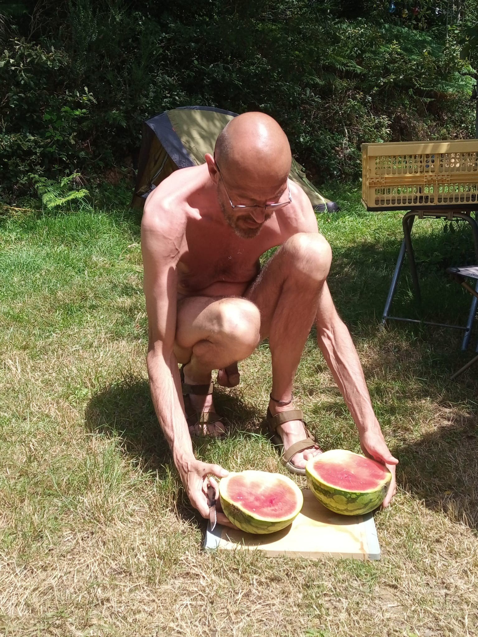 Album by busrijderke with the username @busrijderke, who is a verified user,  July 27, 2024 at 8:43 PM. The post is about the topic Gay Amateur and the text says 'at the nude campsite'