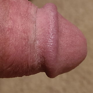 Album by justmydick with the username @justmydick, who is a verified user,  September 20, 2024 at 10:24 AM. The post is about the topic This Dick of Mine