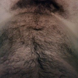 Shared Photo by cpr with the username @cpr, who is a verified user,  September 2, 2023 at 4:51 AM. The post is about the topic Gay Hairy Men