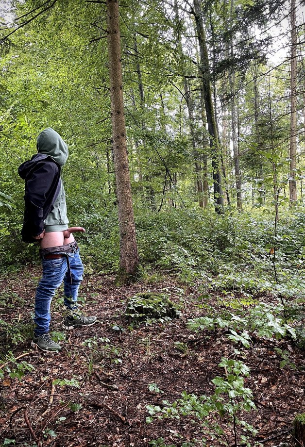 Photo by Switz with the username @Switz, who is a verified user,  September 17, 2024 at 2:49 PM. The post is about the topic DIcks out and the text says 'A nice cool day in the forest …'