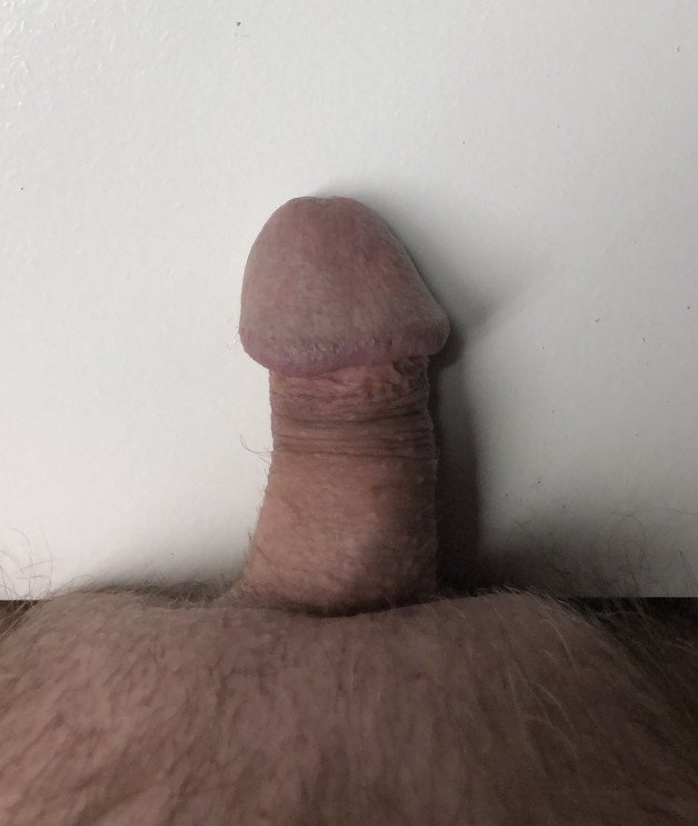 Photo by YankeeStretch with the username @YankeeStretch,  April 18, 2022 at 11:46 PM. The post is about the topic SPH Small Penis Humiliation