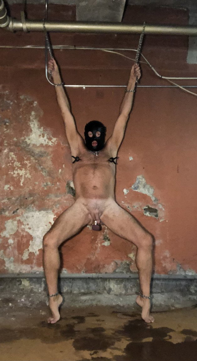 Photo by YankeeStretch with the username @YankeeStretch,  July 6, 2022 at 2:55 AM. The post is about the topic Gay slaves and the text says 'Is anyone interested in owning a totally submissive white male slave ?'