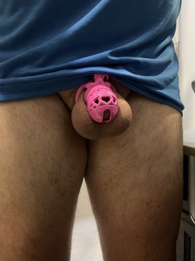 Photo by FLcuck with the username @FLcuck, who is a verified user,  April 28, 2024 at 11:41 AM. The post is about the topic Male Chastity and the text says 'What do you think of my new cage?'
