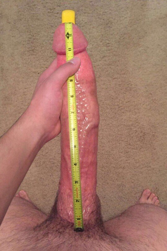Shared Photo by rabacos with the username @rabacos,  March 24, 2019 at 4:51 PM. The post is about the topic Matters of Size and the text says 'Length: 13 in (33 cm).  Erect, circumcised'