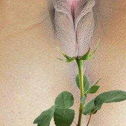 Photo by LOVEMYWORLD3 with the username @LOVEMYWORLD3, who is a verified user,  May 5, 2024 at 11:02 PM. The post is about the topic My pussy is a flower