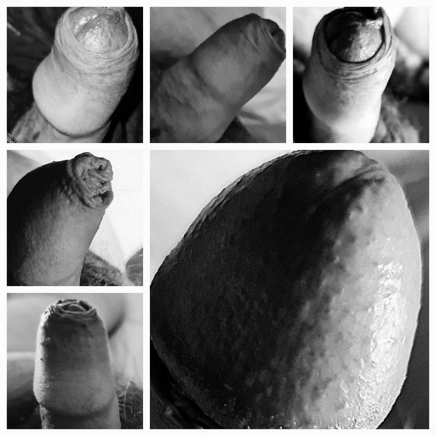 Photo by Just me 1302 with the username @Renzo1302, who is a verified user,  January 21, 2024 at 12:33 AM. The post is about the topic Small Cocks and the text says 'B&W collection'