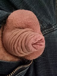 Photo by HabKleinenPenis with the username @HabKleinenPenis, who is a verified user,  October 2, 2022 at 3:45 PM. The post is about the topic Rate my pussy or dick and the text says 'Just a few pics from my tiny soft cock 😏

#smalldick #kleinerpenis #penis #schwul #bi #pansex #smallcock #balls #cockhead #foreskin'