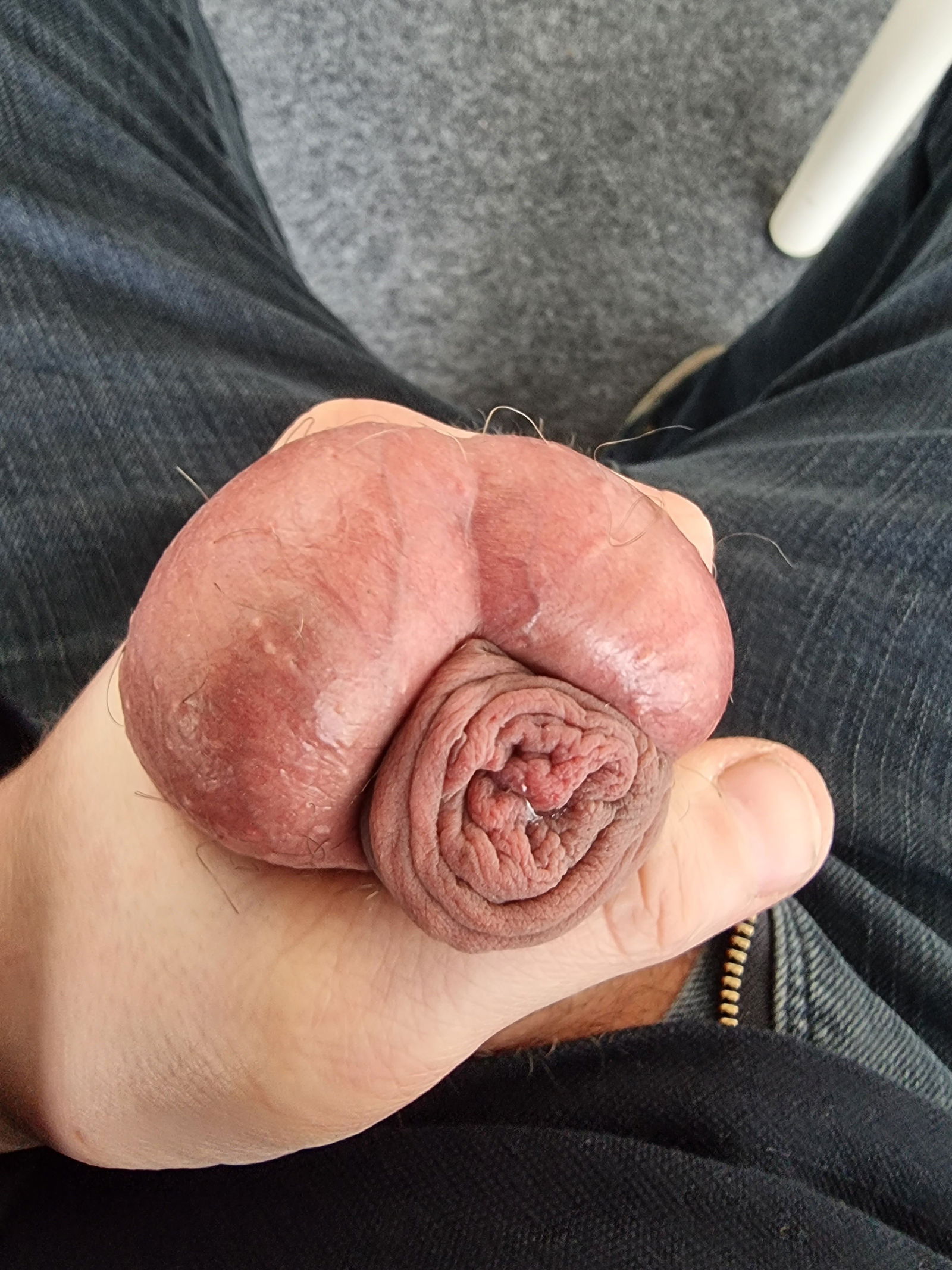 Album by HabKleinenPenis with the username @HabKleinenPenis, who is a verified user,  October 2, 2022 at 3:45 PM. The post is about the topic Rate my pussy or dick and the text says 'Just a few pics from my tiny soft cock 😏

#smalldick #kleinerpenis #penis #schwul #bi #pansex #smallcock #balls #cockhead #foreskin'