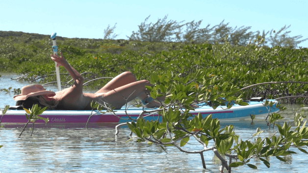 Photo by Sailing Angel with the username @sailingangelxxx, who is a verified user,  October 23, 2023 at 2:03 PM and the text says 'My New Video is LIVE 🐢 🦈⛵️
Deeply exploring the very shallow mangroves at Big Farmers Cay. Turtles, rays and a shark showcase this amazing hidden gem.
https://vimeo.com/ondemand/sailingdarkangel/876951685'