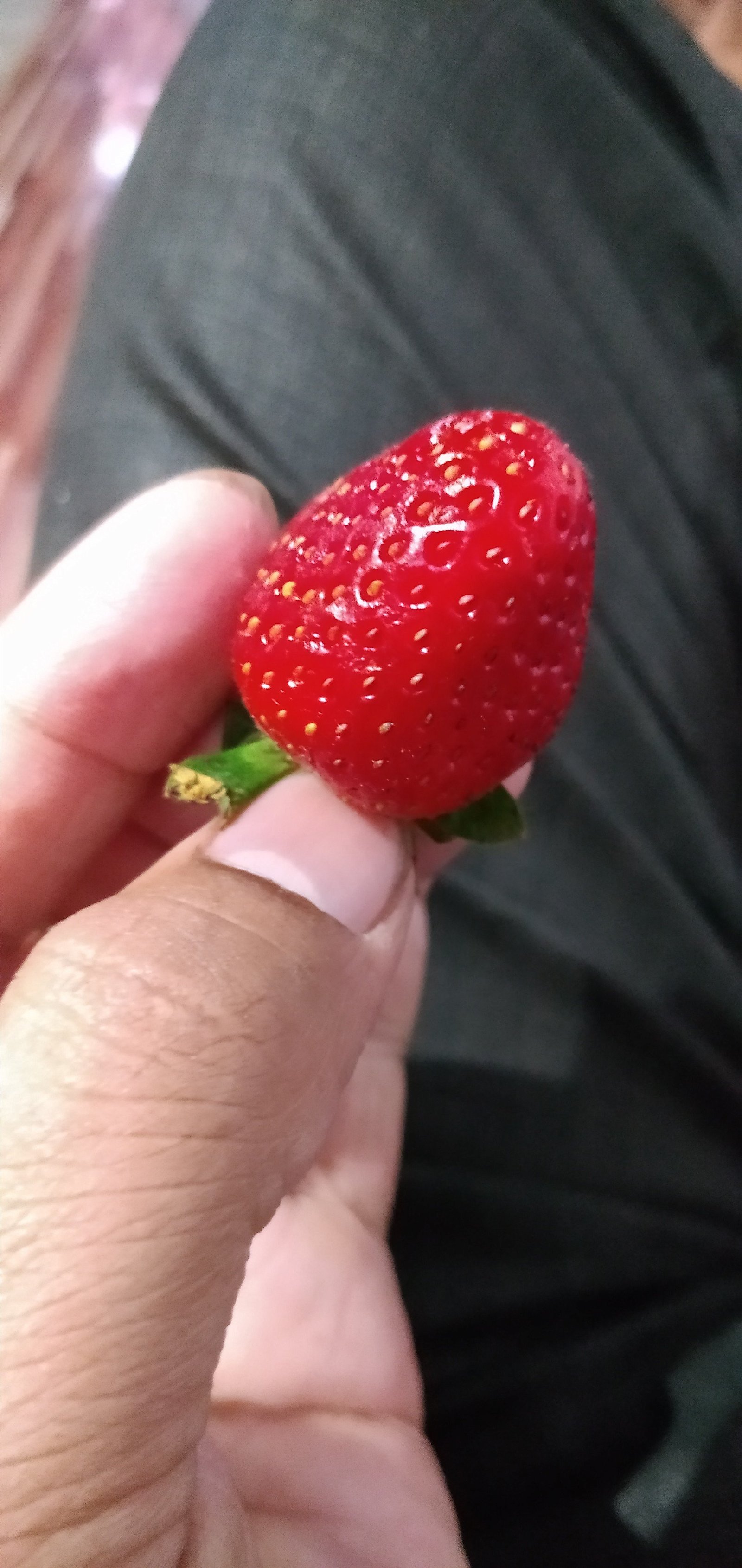 Photo by dinsah6 with the username @dinsah6, who is a verified user,  March 20, 2023 at 6:28 PM and the text says 'Strawberry 🍓'