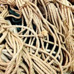 Slc_Rope