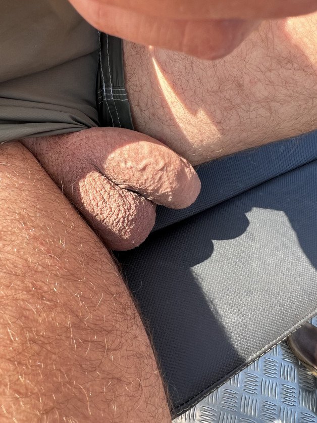 Photo by Ladalada1 with the username @Ladalada1, who is a verified user,  August 17, 2024 at 9:12 AM. The post is about the topic DIcks out and the text says 'my nice soft dick in fresh air 😎'