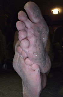 Photo by SomnambuleAgite with the username @SomnambuleAgite, who is a verified user,  July 6, 2024 at 10:27 AM. The post is about the topic Dirty Feet