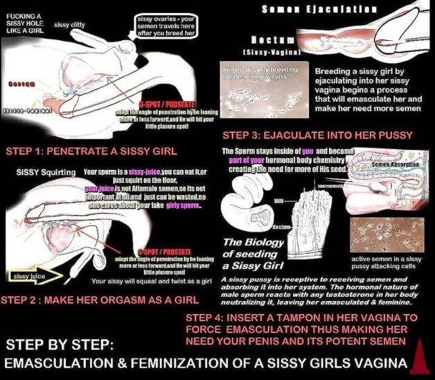 Photo by Bitedd with the username @Bitedd, who is a verified user,  October 4, 2023 at 11:07 AM. The post is about the topic Anatomy of a Sissy