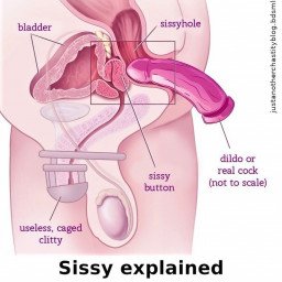 Photo by Bitedd with the username @Bitedd, who is a verified user,  October 4, 2023 at 11:13 PM. The post is about the topic Anatomy of a Sissy