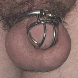 Photo by FasN8ing with the username @FasN8ing, who is a verified user,  April 11, 2024 at 7:05 AM. The post is about the topic Male Chastity and the text says 'All locked away..'