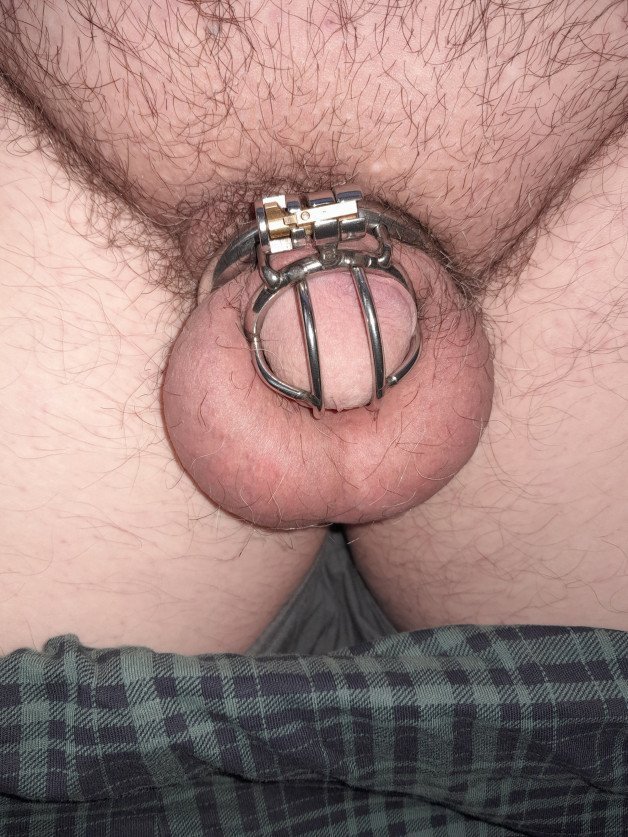 Photo by FasN8ing with the username @FasN8ing, who is a verified user,  May 4, 2024 at 5:00 PM. The post is about the topic Male Chastity and the text says 'Can I come out and play?
Please?'