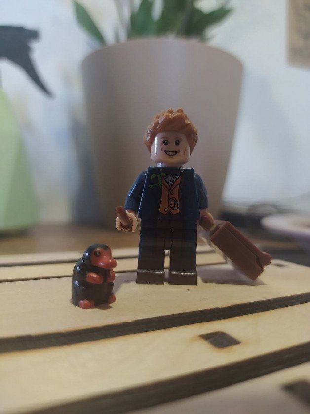 Photo by Terefur with the username @Terefur, who is a star user,  June 1, 2023 at 4:30 PM and the text says 'Just look at this figurine
#lego #movie #game #house #today #love #toy #harrypotter #fantasy'