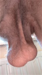 Shared Photo by josefpassion with the username @josefpassion,  December 29, 2023 at 9:35 PM. The post is about the topic Hairy ballsack