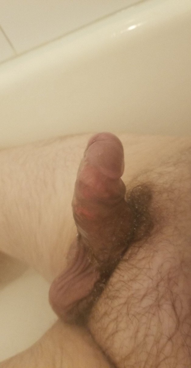 Photo by shorterstroke with the username @shorterstroke, who is a verified user,  October 13, 2022 at 10:38 PM and the text says 'Just an average cock that wants a lady to play with it lol'