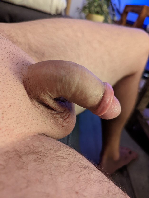 Photo by Adventurer with the username @Adventurer0815, who is a verified user,  November 10, 2023 at 3:44 AM. The post is about the topic DIcks out and the text says 'Getting ready for fun... #regular #dick #cock #shaved #masturbation'