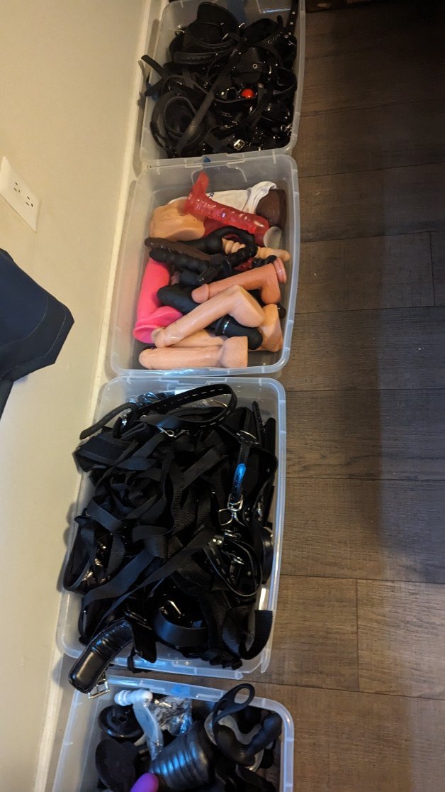 Photo by MichaelHighview with the username @MichaelHighview, who is a verified user,  October 19, 2023 at 7:02 AM. The post is about the topic Sex Toys and the text says 'my collection'