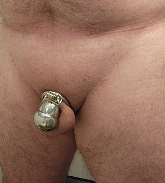 Photo by BobbyPicca84 with the username @BPiccariello84, who is a verified user,  February 1, 2024 at 4:06 AM and the text says 'Keyholder made me go smooth.  Completely bald caged clitty dick 🔐 

Does anyone have a preference?  Triangle patch or bald?'