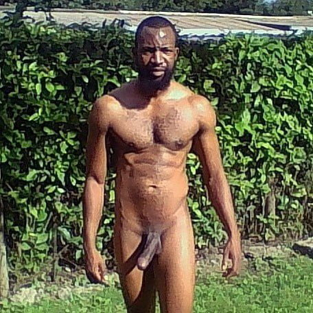 Photo by Keith Gravel with the username @Keith-Gravel, who is a verified user,  March 1, 2023 at 4:24 AM and the text says '#PornMovieIdea?A strong african man who roams the jungle naked using his animal like fierceness to fuck whoever dares to wander into his territory. Cheque please ? 
#bbc #nudemale #dick #cock'