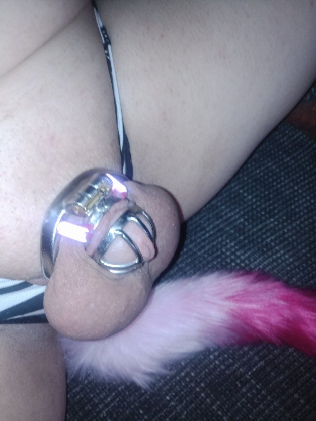 Photo by Sasha-4Stuff with the username @Sasha-4Stuff, who is a verified user,  May 17, 2023 at 9:15 PM and the text says 'The tail of my butttplug🔥'