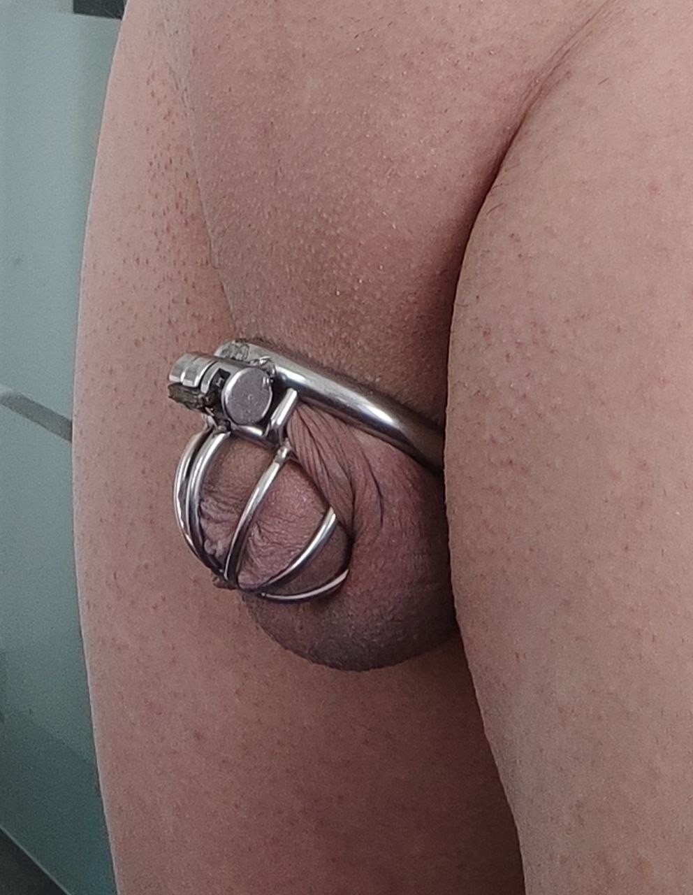 Photo by gaypig44 with the username @gaypig44, who is a verified user,  September 11, 2023 at 9:20 AM and the text says 'locked clit 
#clit #locked #dimitris #sarridis #cage #naked #pathetic #sph'