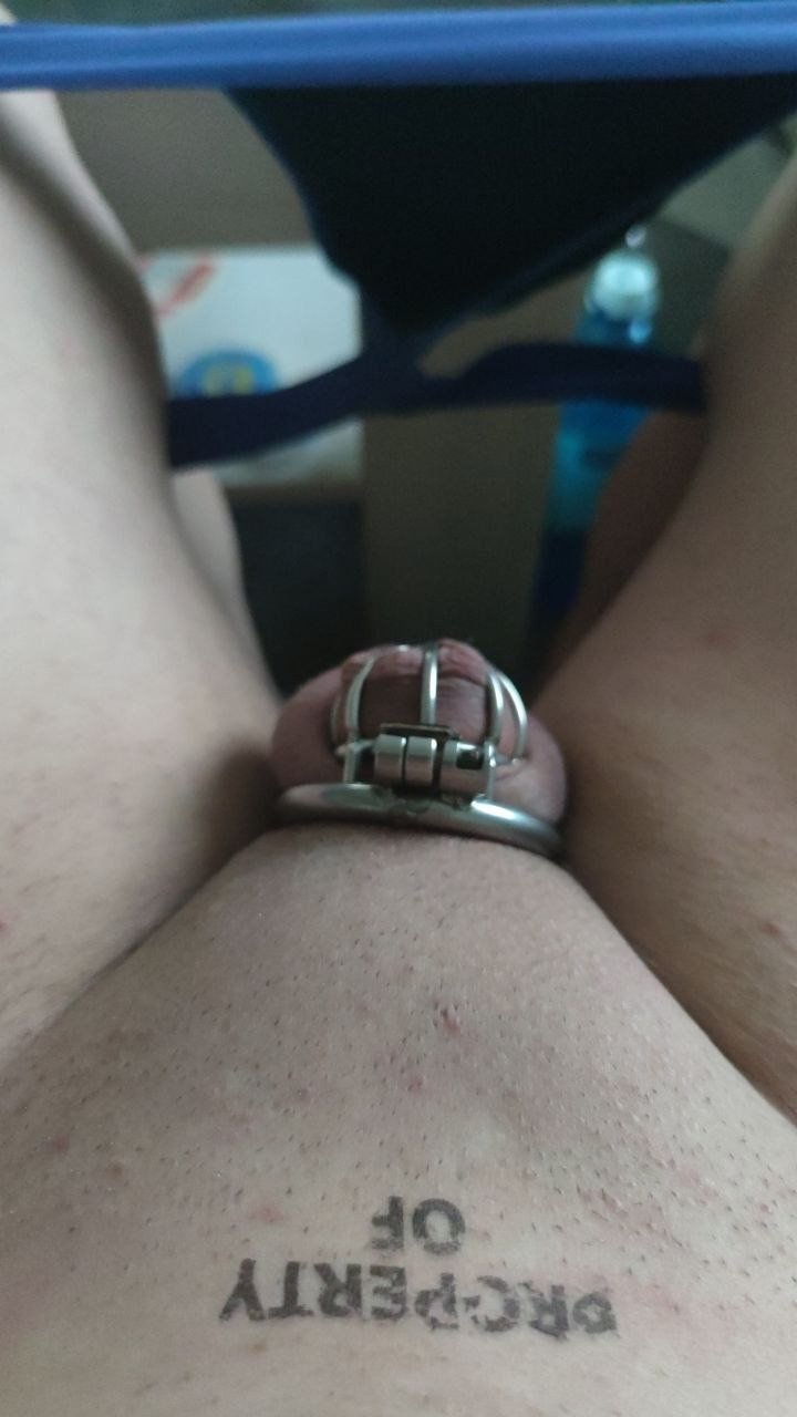 Photo by gaypig44 with the username @gaypig44, who is a verified user,  September 11, 2023 at 9:20 AM and the text says 'locked clit 
#clit #locked #dimitris #sarridis #cage #naked #pathetic #sph'