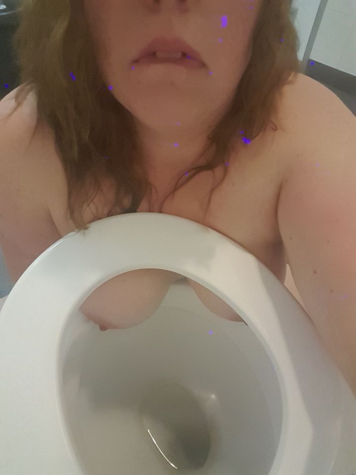 Photo by Whore Humiliator with the username @Whore-Humiliator, who is a verified user,  January 12, 2019 at 12:42 PM. The post is about the topic Toilet Humiliation