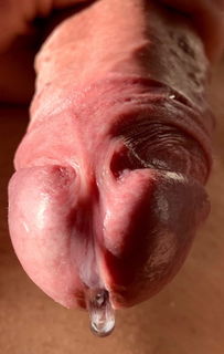 Photo by Intimrasierter with the username @Intimrasierter, who is a verified user,  December 23, 2018 at 3:35 PM. The post is about the topic Gay Shaved Cock and the text says '#gay #cock #shaved #cum'