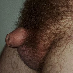 Photo by Tinypen69 with the username @Tinypen69,  March 18, 2023 at 12:51 AM and the text says 'My little dick with full beard of pubic hair'