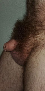 Photo by Tinypen69 with the username @Tinypen69,  March 18, 2023 at 12:51 AM and the text says 'My little dick with full beard of pubic hair'